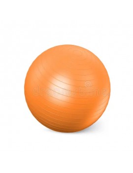 Bola De Ejercicio De 55cm...